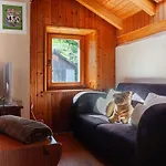 Holiday home Holiday Home Le Dahu By Interhome Nendaz