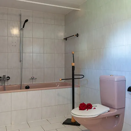 Holiday Home Le Dahu By Interhome Ferienhaus Nendaz