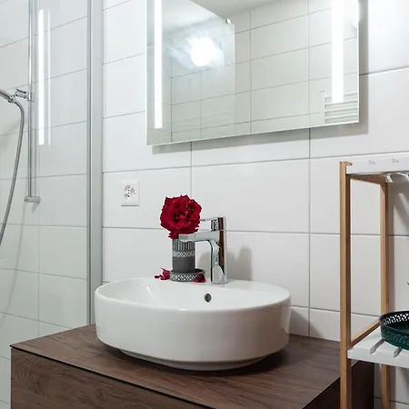 Holiday Home Le Dahu By Interhome * Nendaz