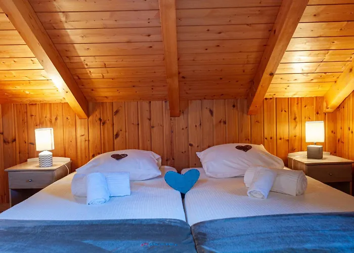 Holiday Home Le Dahu By Interhome Holiday home Nendaz